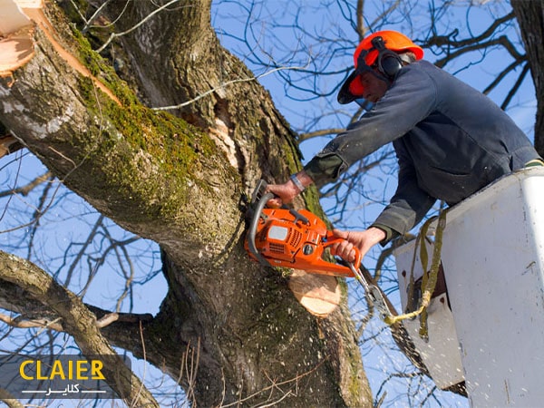 هرس درختان با بالابر